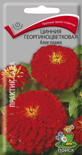 Алое пламя Ц(Поиск)