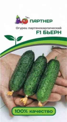 Бьерн Партнер 5шт