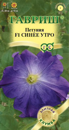 Синее утро Ц(Г)