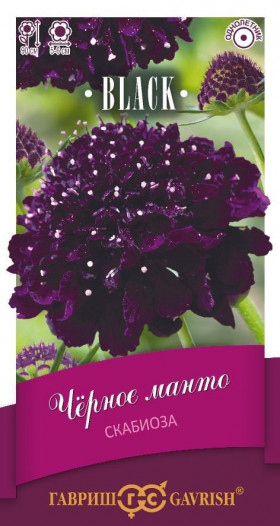 Черное манто пурпурная махр.Ц(Г)