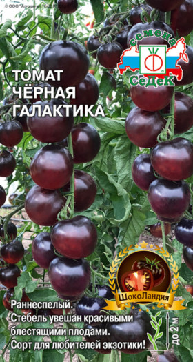 Черная галактика Ц(С)