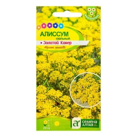 Золотой Ковер Ц(Алт)