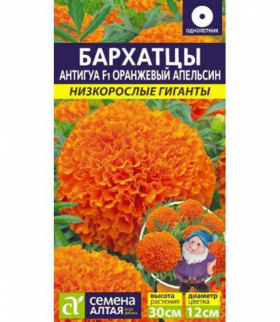 Антигуа Оранжевый Апельсин Ц(Алт)