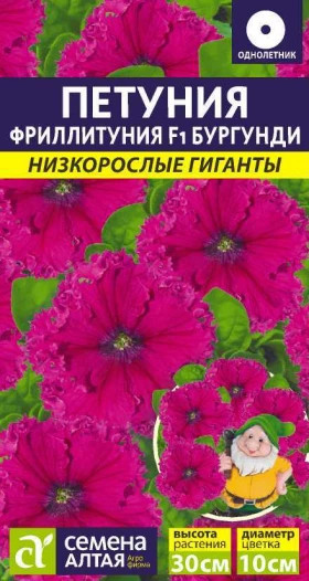 Фриллитуния Бургунди Ц(Алт)