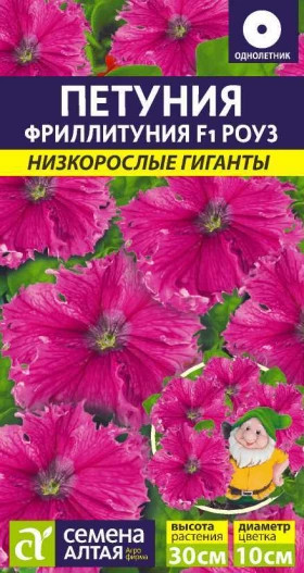 Фриллитуния Роуз Ц(Алт)