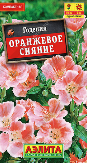 Оранжевое сияние махровая Ц(А)