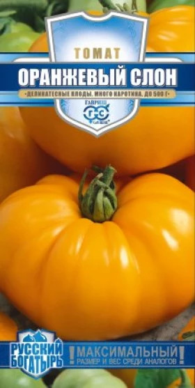 Оранжевый слон Ц(Г)