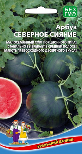 Северное сияние Ц(УД) ()