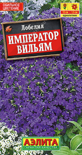 Император Вильям Ц(А)