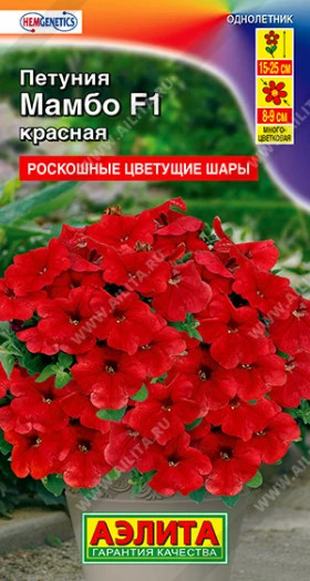 Мамбо красная многоцветковая Ц(А)