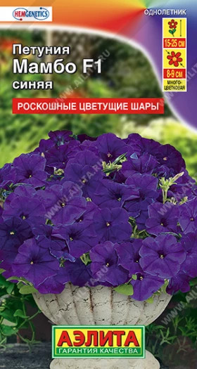 Мамбо синяя многоцветковая Ц(А)