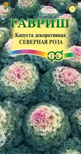 Северная роза Ц(Г)