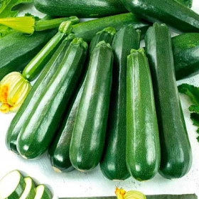 Диамант (500шт) Seminis