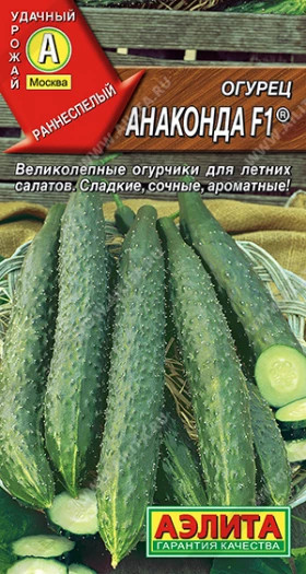 Анаконда китайский  F1 Ц(А)