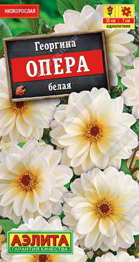 Опера белая Ц(А)