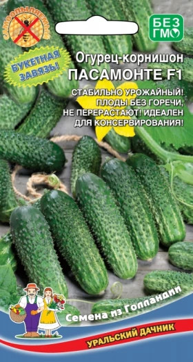 Пасамонте Ц(УД)