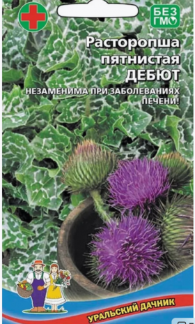 Дебют пятнистая Ц(УД)