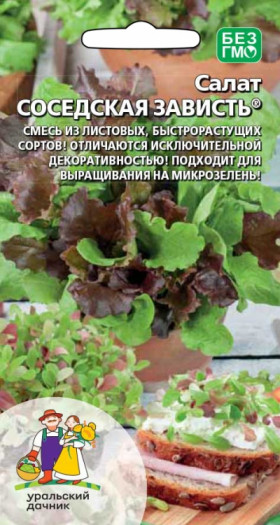 Соседская зависть Ц(УД) салат