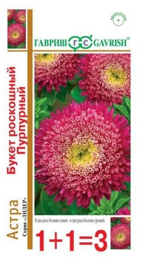 Букет роскошный пурпурный1+1 Ц(Г)