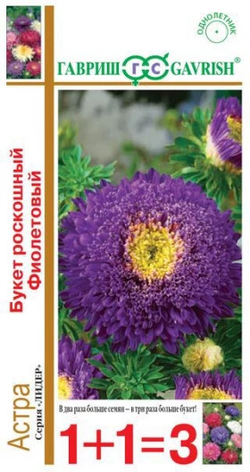 Букет роскошный фиолетовый1+1 Ц(Г)
