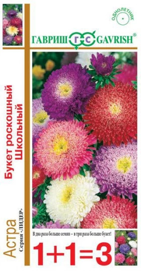 Букет роскошный школьный1+1 Ц(Г)