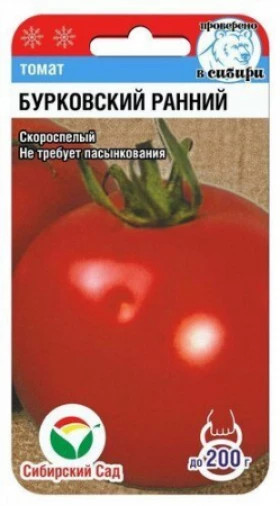 Бурковский Ранний СС