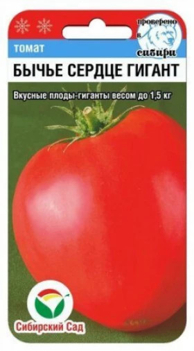 Бычье сердце Гигант СС