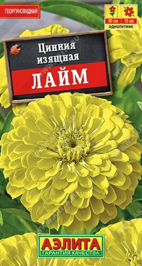 Лайм изящная Ц(А)