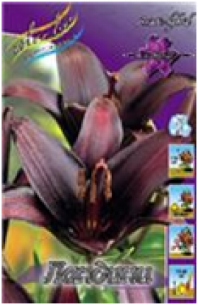 Ландини (азиат) 5шт