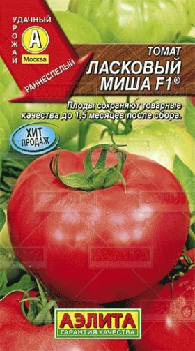 Ласковый Миша Ц(А)