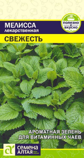 Свежесть лекарственная Ц(Алт)