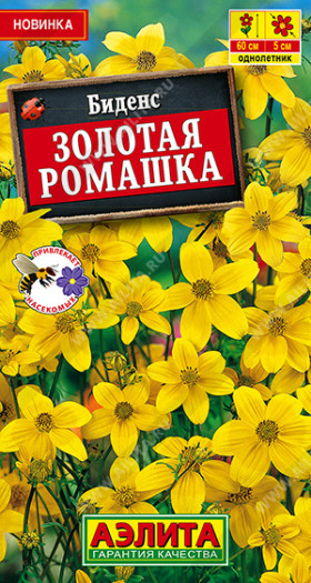 Золотая ромашка Ц(А)