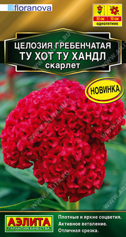Ту хот ту хандл скарлет гребенч.Ц(А)