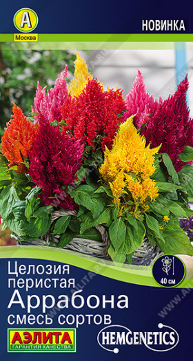 Аррабона смесь перистая Ц(А)