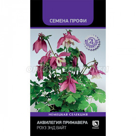 Примавера Роуз энд вайт 5шт Ц(Поиск)