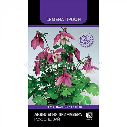 Примавера Роуз энд вайт 5шт Ц(Поиск)