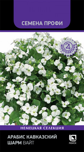 Шарм Вайт кавказский 10шт Ц(Поиск)