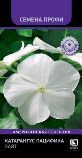 Пацифика Вайт 10шт Ц(Поиск)