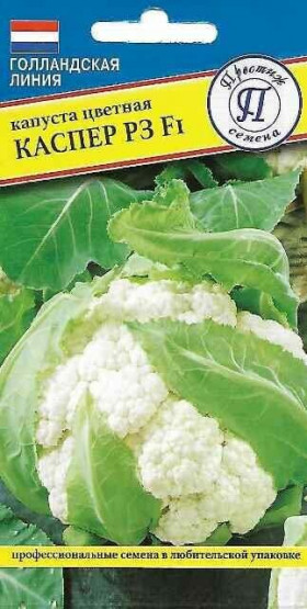 цветная Каспер 10шт Ц(П)