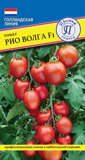 Рио Волга 5шт Ц(П)