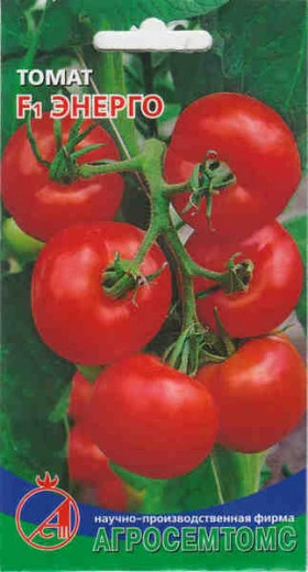 Энерго Киров