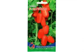 Затейник Киров