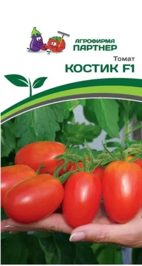 Костик 10шт Партнер