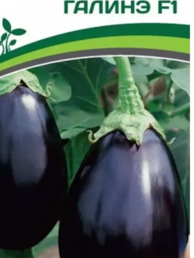 Галинэ 10шт Партнер