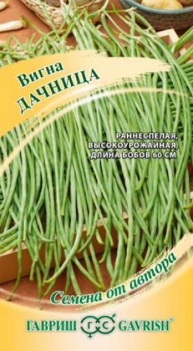 Дачница Ц(Г)