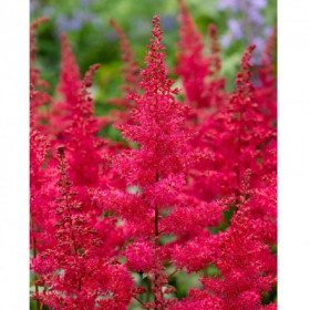 Рэд Драмсет 1шт