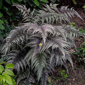 Металликум 1шт