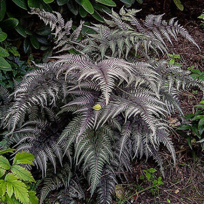 Металликум 1шт