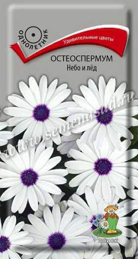 Небо и лед Ц(Поиск)