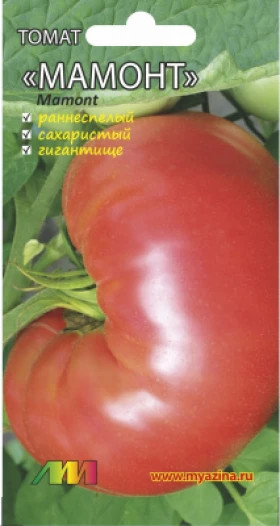 Мамонт /Мязина